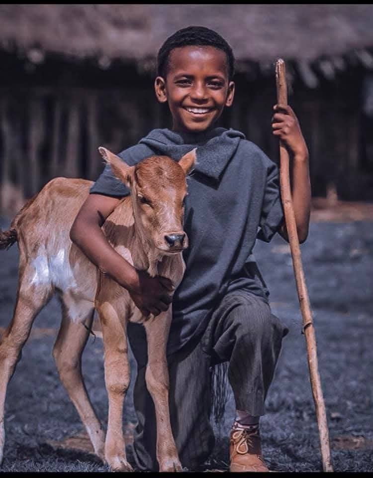 photo 2026 02 20 23 13 35